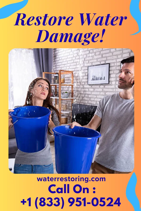 water restoration Frontier Damage Recovery Force Kaunakakai